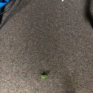 Meet your Posher, Deanne